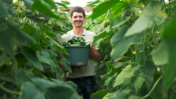 Young Smiling Farmer Holding Bucket with Fresh Cucumbers