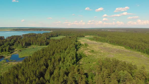 Aerial View of Forest Lake