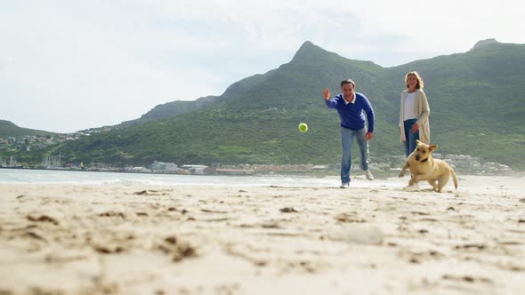 Happy mature couple playing with dog on the beach