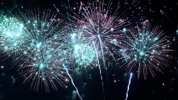 Colorful Fireworks Exploding in the Night Sky