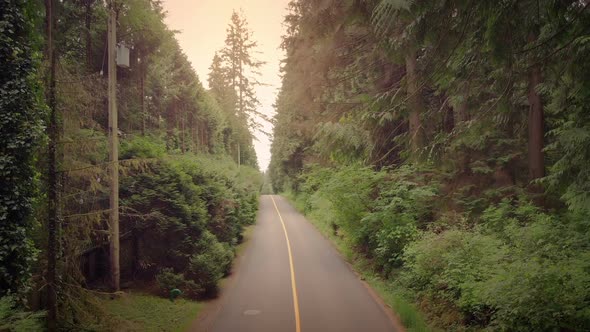 Rural Road At Sunset