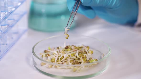 Planting in the Laboratory