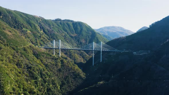 Cable stayed bridge