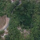 Aerial view of a road in the middle of the forest and a passing car - VideoHive Item for Sale