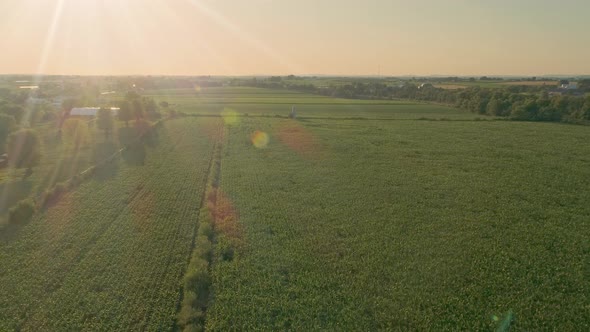 Aerial View of Amish Farms and Fields During the Golden Hour on a Late Summer Afternoon