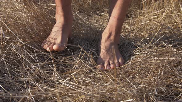 Bare Feets Make Steps on the Dried Grass Discomfort on Legs and Skin From Walking on Hard, Dry Grass