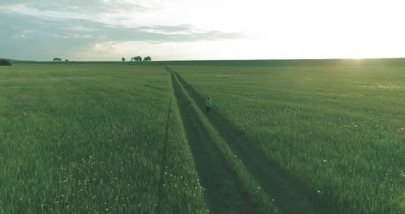 Sporty Child Runs Through a Green Wheat Field. Evening Sport Training Exercises at Rural Meadow. A