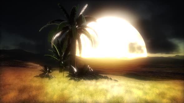 Sunset at Sand Dunes alt