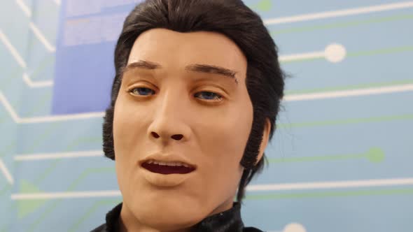 Robot Head Elvis Presley