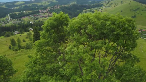 Drone flight over the Ukrainian Carpathians in summer. Fascinating landscapes in the mountains. Immo