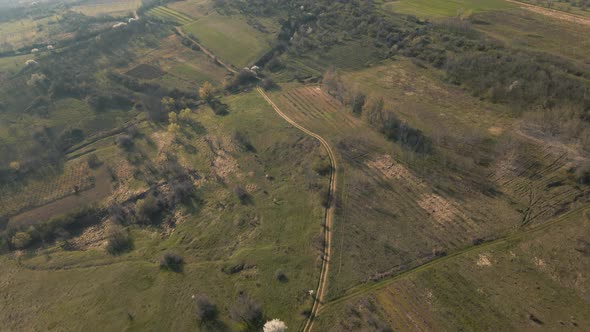 Aerial View of the Countryside with Fields of Crops and Pine Forests in Spring