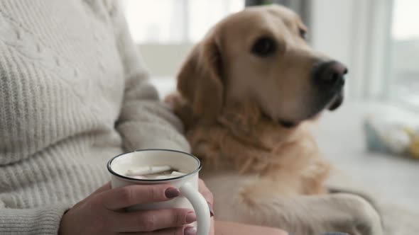 Girl with Golden Retriever Dog and Cocoa