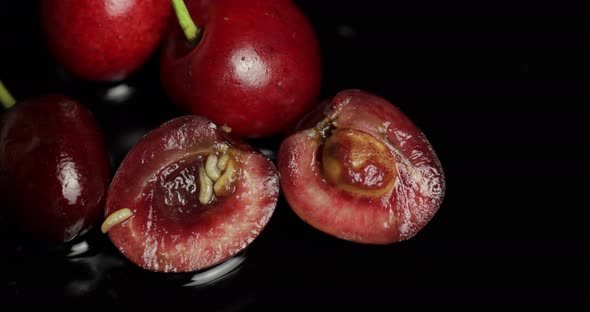 Fruit Worms in Rotten Cherry, Black Background. Larva of Cherry Flies. Closeup