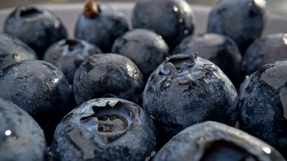 Blueberries Background. Blue Colored Berries Shot in Macro Close-up As Large Abstract Spheres