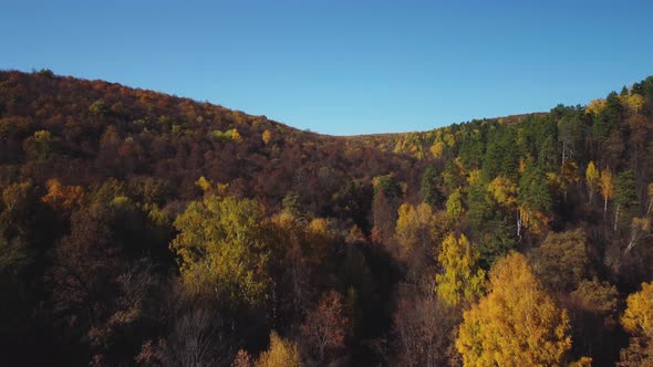 Aerial view of the Shiryaevsky ravine in the Samarskaya Luka national park.