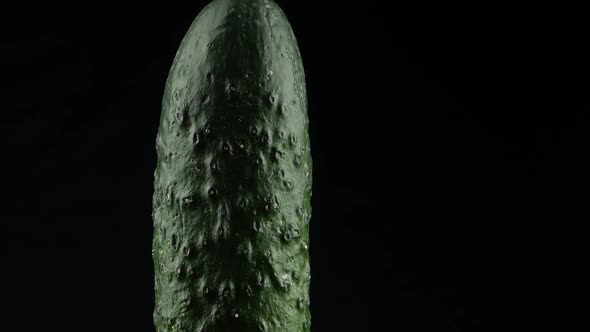 Cucumber close up texture