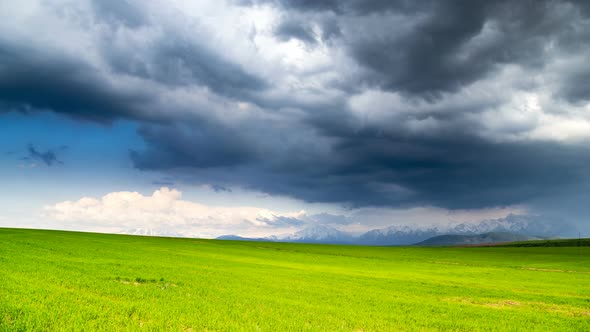 Thunderclouds Over a Spring Wheat Field