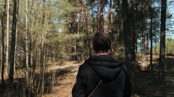 A Man Strolls Through a Sunny Summer Forest on a Beautiful Day