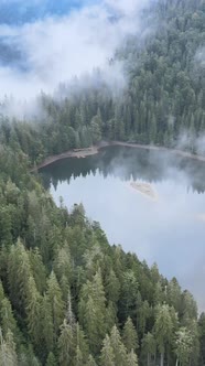 Vertical Video Mountain Lake Synevyr