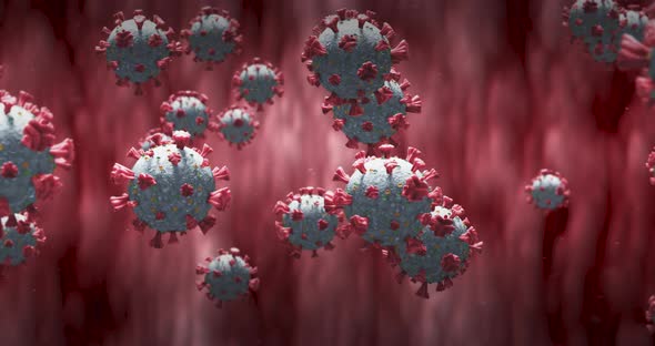 Animation of macro Coronavirus Covid-19 cells floating in a vein. 4k alt