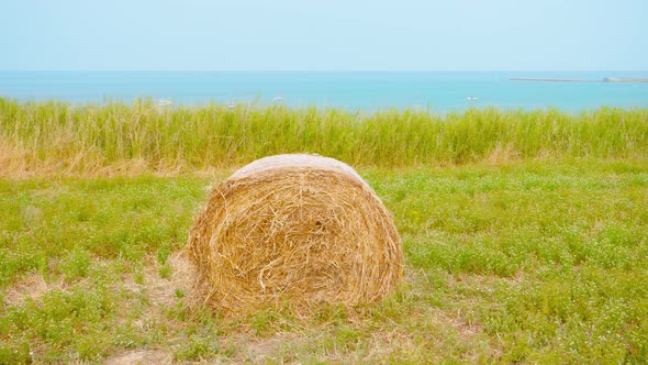 Yellow Haystack in Front of the Ocean