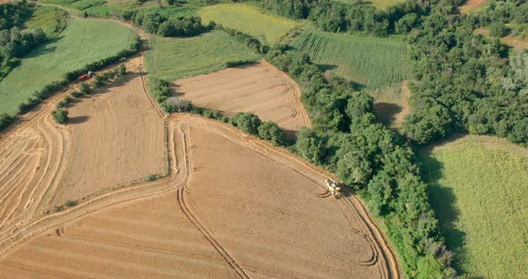 Drone Shot with Top View of Mowing Machine, Harvesting on Yellow Wheat Field between Agricultural Fa