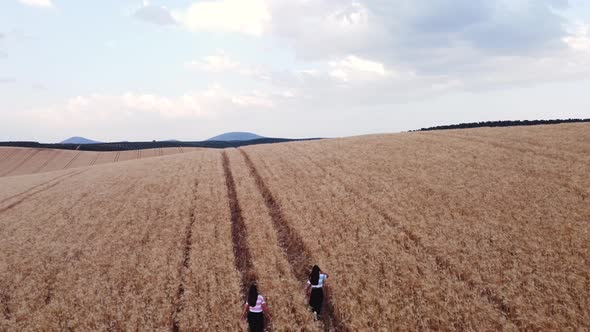 Aerial view of two friends enjoying nature while they walk through a wheat field together.