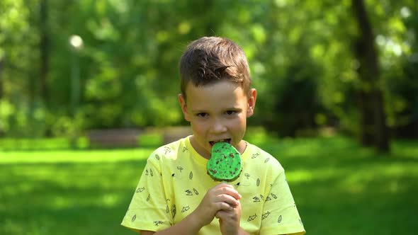 The boy eats delicious ice cream in the park among the big green trees in the background