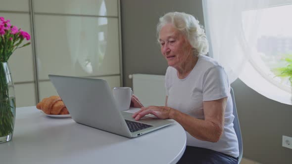 Old Woman Using Laptop
