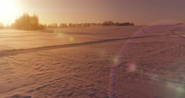 Aerial Drone View of Cold Winter Landscape with Arctic Field Trees Covered with Frost Snow and