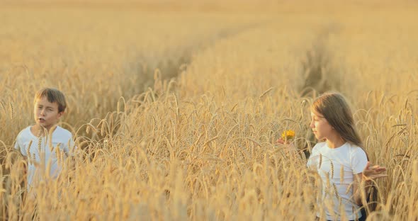 Happy Children Make Their Way Among the Ears of Corn in the Field. Brother and Sister Walk in a