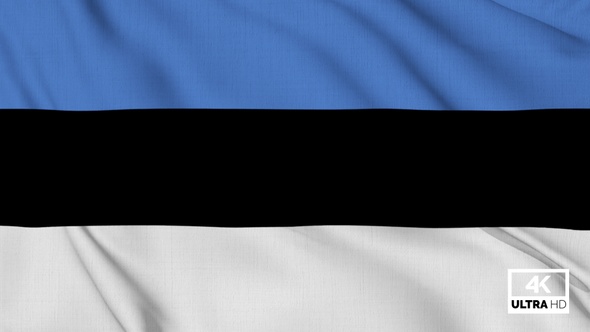 Estonia Flag Waving Slowly Looped