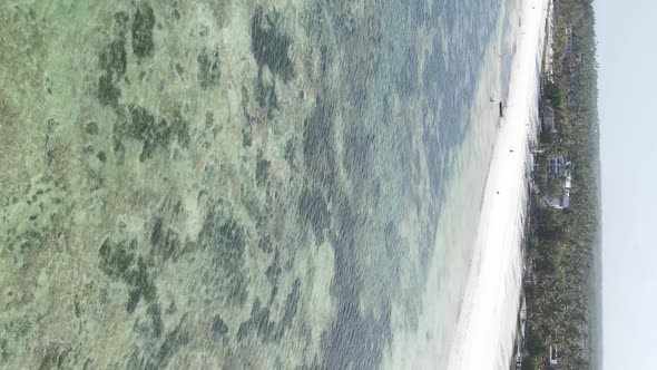 Vertical Video of the Ocean Near the Coast of Zanzibar Tanzania Aerial View