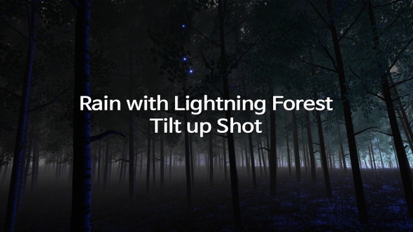 Rain with Lightning Forest Tilt up shot