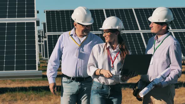 Group of Engineers Are Discussing Outdoors Solar Panels