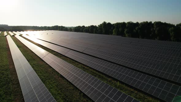 Aerial View of Solar Farm on the Green Field at Sunset Time Solar Panels in Row