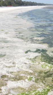 Tanzania  Vertical Video of Low Tide in the Ocean Near the Coast of Zanzibar Slow Motion