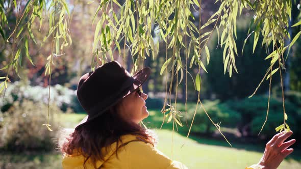 A Mature Adult Woman Touching Willow Leaves and Enjoying an Autumn Sunny Day