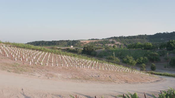 Aerial Drone Shot Revealing a House on a Hill Surrounded by Vineyards (Paso Robles,California)