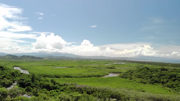 drone shot aerial view of a tropical rainforest