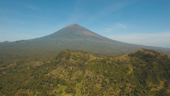 View of Mountain Forest Landscape