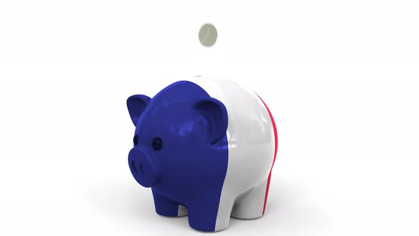 Coins Fall Into Piggy Bank Painted with Flag of France alt