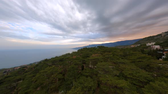 Shooting From Sports Fpv Drone Flying Over Dramatic Gray Sky Horizon Forest Treetops Top View