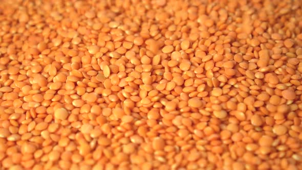 Peeled lentil seeds fall with rotation 