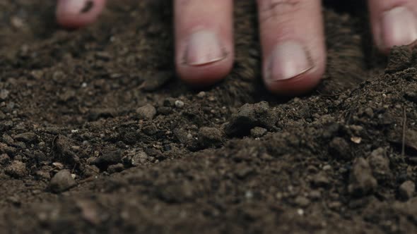 Hands Sifting the Dry Soil