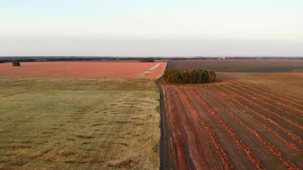 Road Among the Fields