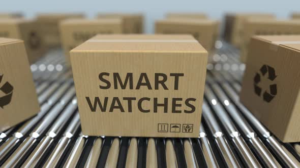Cartons with Computer Smart Watches on Roller Conveyors