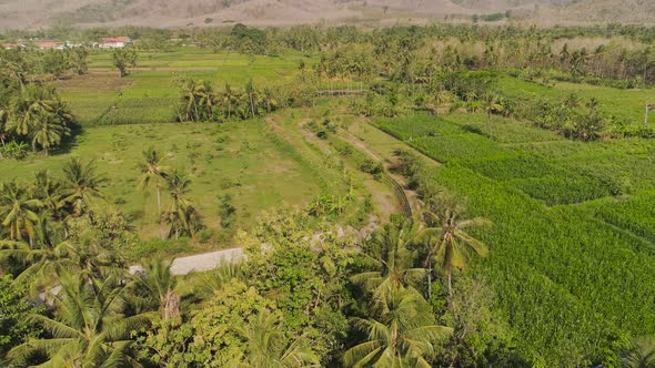 Agricultural Land in Indonesia