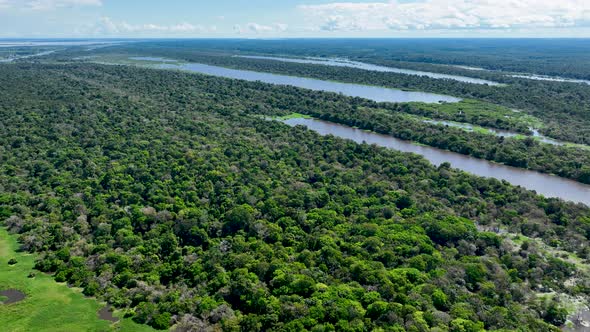 Stunning landscape of Amazon Forest at Amazonas State Brazil.