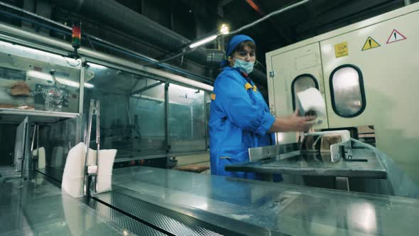 Female Factory Worker Placing Facial Tissues Onto a Conveyor Belt